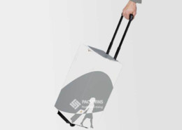 Retail POS Marketing Cardboard Displays Carton Folding Hand Trolley